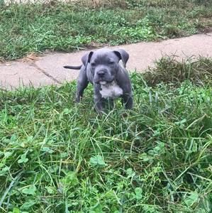 Meet your Posher, Will